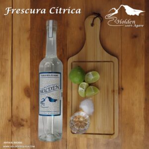 Tequila Holden Blanco 100% Agave 750 ml caja con 12 pzs.