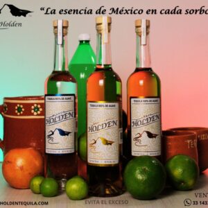 Tequila Holden Blanco/Reposado/Añejo 100% Agave 750 ml. caja con 12 pzs. 4 Bco, 4 Rep, 4 Añe.
